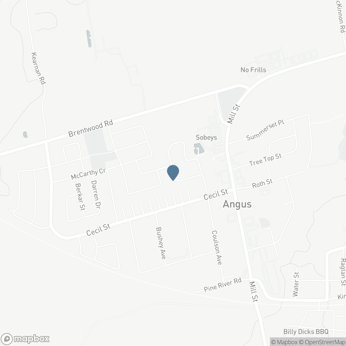87 ARMEDA CLOW CRESCENT, Angus, Ontario L3W 0H6